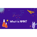 Nmn 99% Beta-Nicotinamide Mononucleotide Nmn