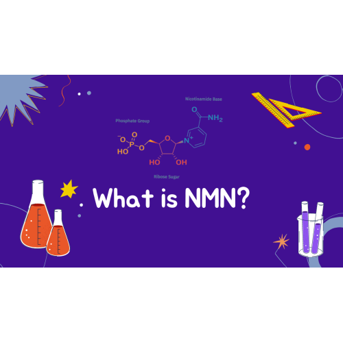 Nmn 99% Beta-Nicotinamide Mononucleotide Nmn