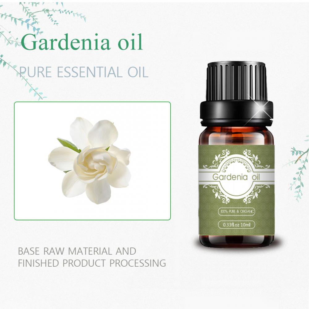 Hot selling factory price natural gardenia essential oil