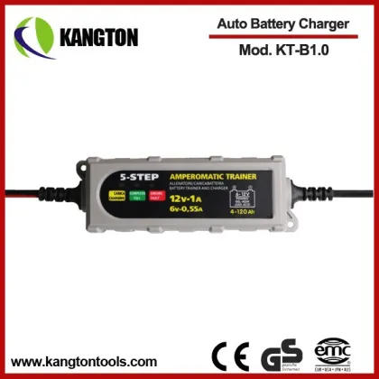 Constant Current Charging Car Charger Electric Car Battery Charger
