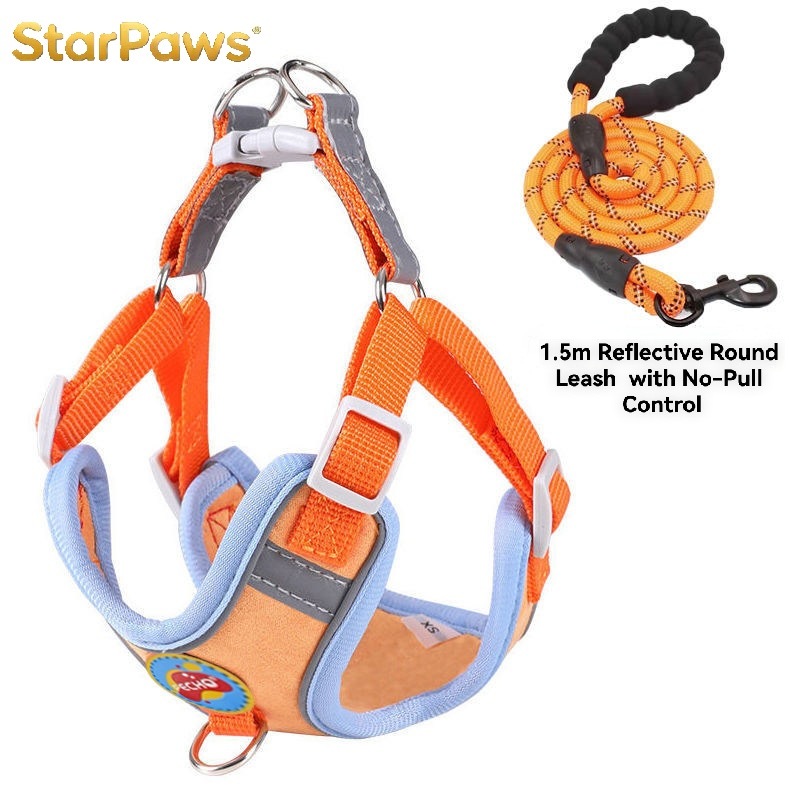 Breathable Dog Harness and Leash Set