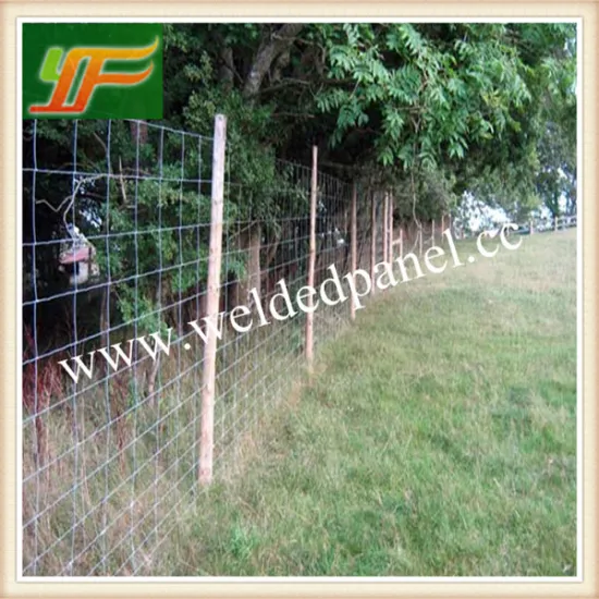 Australia Hot Dipepd Galvanized Sheep And Goat Fence For Sale