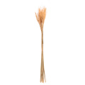 15pcs/Branch Autumn Wheat Bouquet Dried Plant DIY Wedding Party Home Decoration Supplies