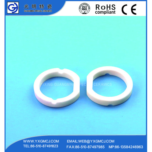 China Anticorrosive Advanced 99 Alumina Ceramic Sealing Ring Factory
