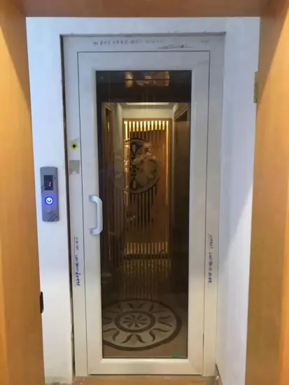 Hotel Elevator Home Lift With Enclosure