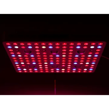 Shenzhen CE Grow Par 3000w COB Grow Light