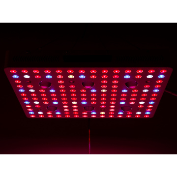 Shenzhen CE Grow Par 3000w COB Grow Light