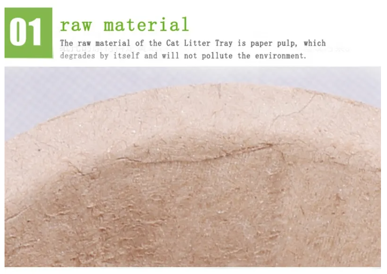 Packaging Raw Materials