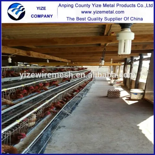 Used Poultry Equipment/broiler Poultry Farm Equipment/poultry Feed Mill
