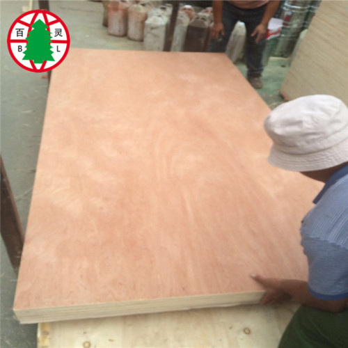 Madera contrachapada de la chapa del pino BBCC de 3m m 6m m