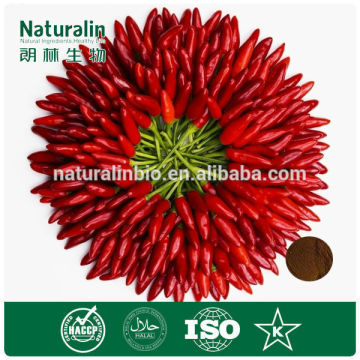 Capsicum Extract powder