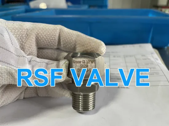 High Quality S31254 Greaser Injector of Ball Valve