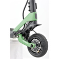 Citycoco Mobility cu 2 roți utilizate scuter electric