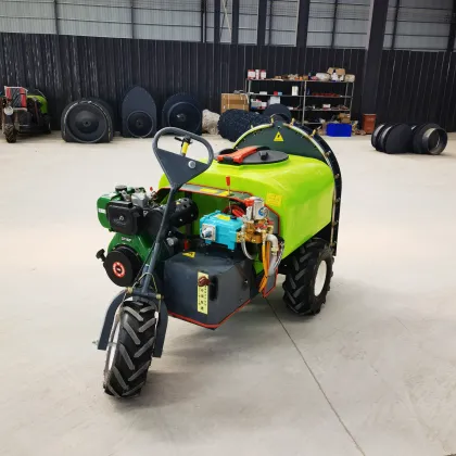 Guangdong Portable Agricultural Sprayer - 300L Low Cost Spraying Equipment