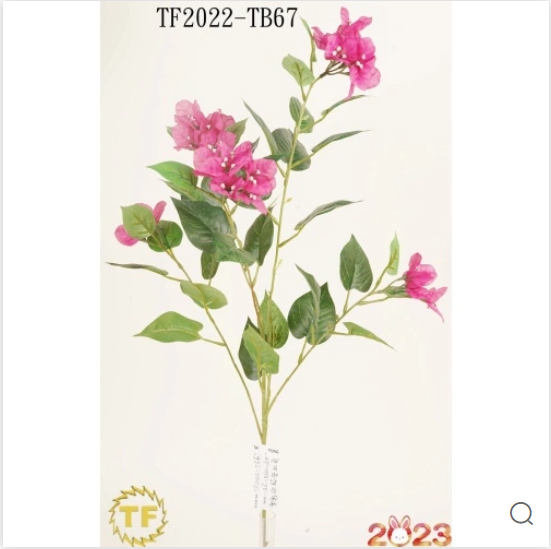 Günlük Çiçek Everyday flower