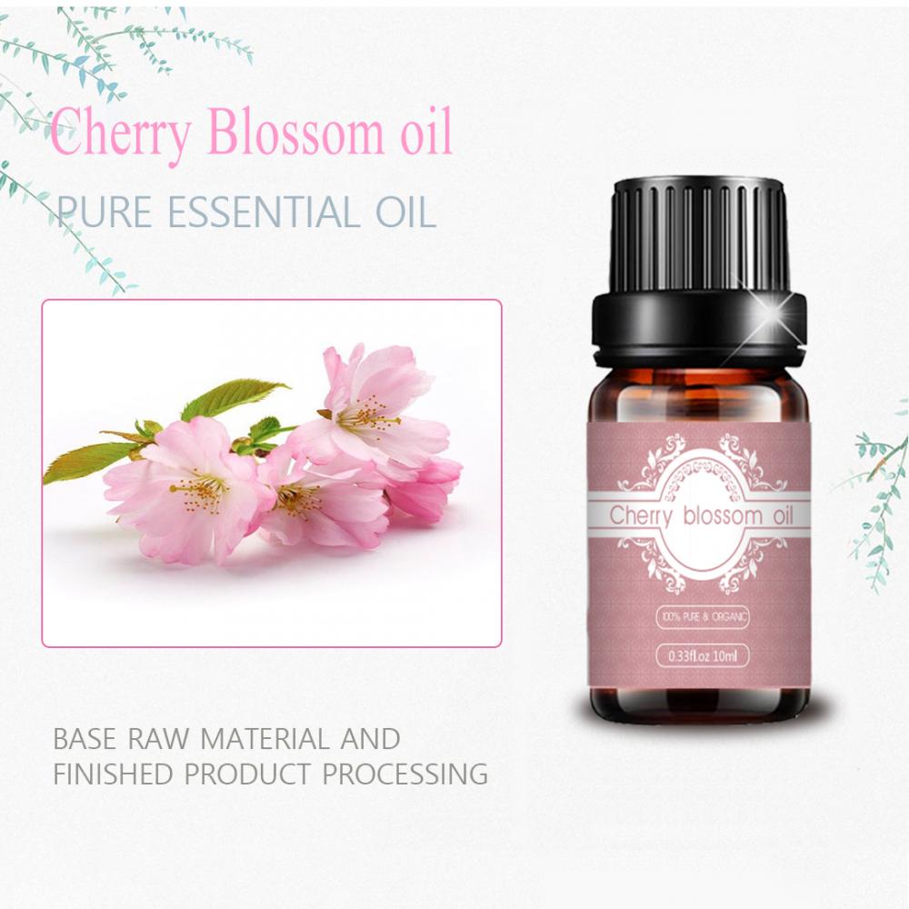 Bulk Price Cherry Blossoms Oil 100% pure natural