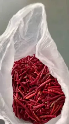 Dccz 5-5 Chili Roasting Machine Chike