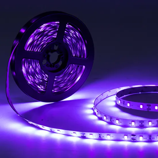 SMD2835UV Purple 390-400nm 60LED/m 12V Flex LED Strip Light IP65 IP67