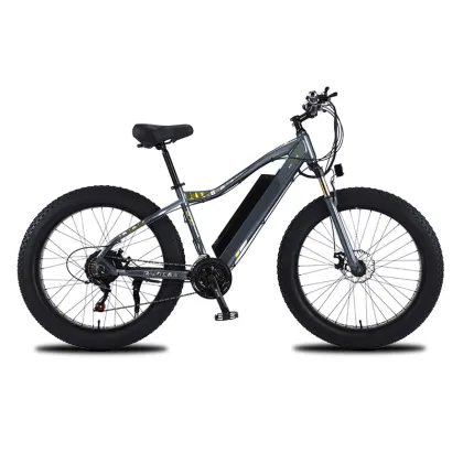 750W Focus E-Bike Bosch Battery Conversion Kit: Enhancing Your Electric Bicycle Experience