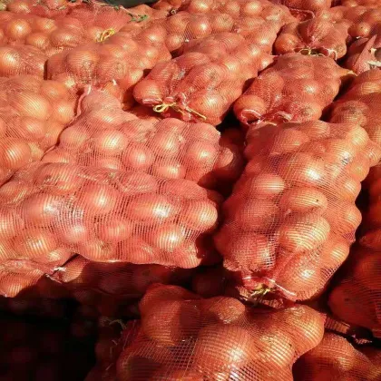High Quality Fresh Onions