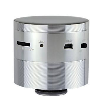 wireless microphone speaker