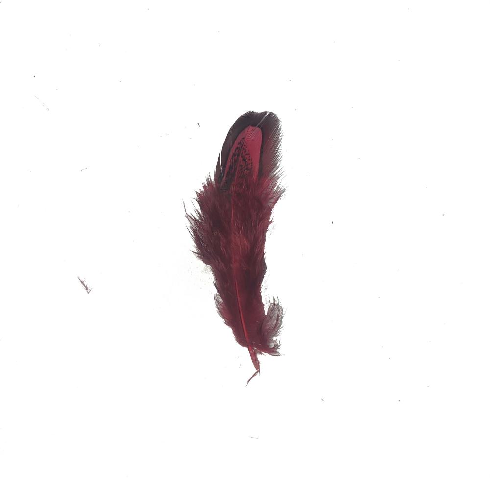 Red Feather