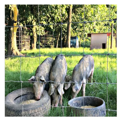 Galvanized Hinge Knot Field Fence Red Brand