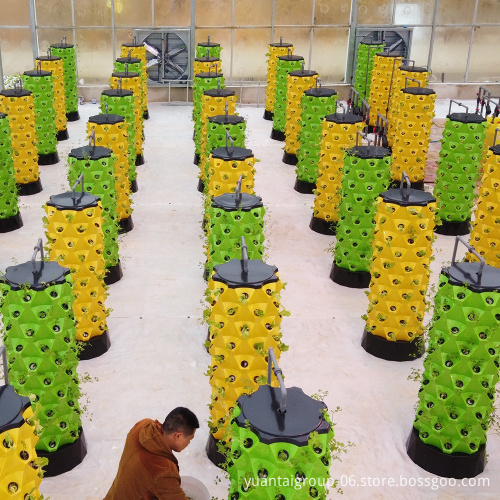 Three-dimensional Pineapple Tower Soilless Gardening for Balcony Vegetable Farming in Agricultural Greenhouses