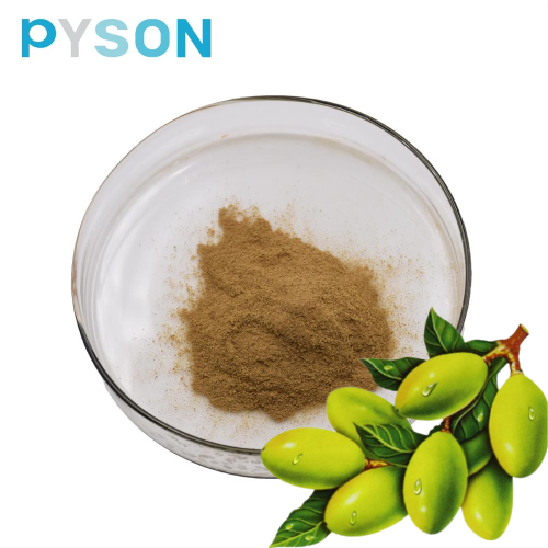 Olive Leaf Extract Oleuropein powder 10% HPLC