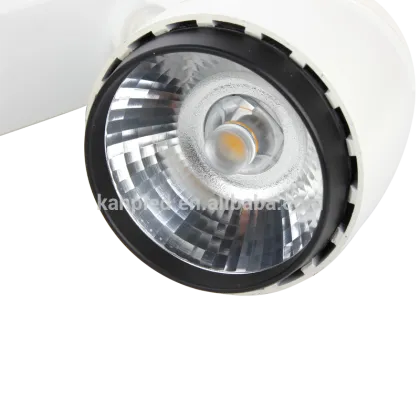 30W 6000K Art Gallery COB Led Track Lighting
