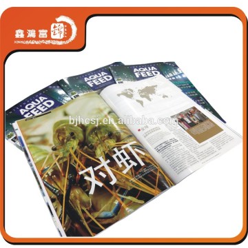 Professional magazine/flyers/brochure printing service in Beijing