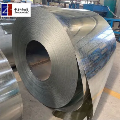 Top Quality Galvanized Iron Steel Metal in Metals Galvan