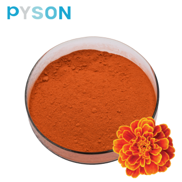 lutein 5% to 95% Marigold Flower extract powder