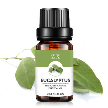 Huile d&#39;eucalyptus essentielle en gros d&#39;usine 100% pure avec meilleur prix