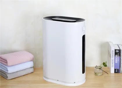 Good Price 12L/Day Refrigerator Dehumidifier for Home Use