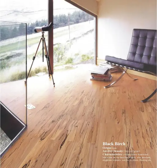 High Quality Birch solid Flooring