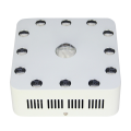 /msite/products/detail/productid/58330678/id/679434.html