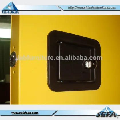 Hot Sale Lab Fireproofing Safety Metal Cabinet Supplies