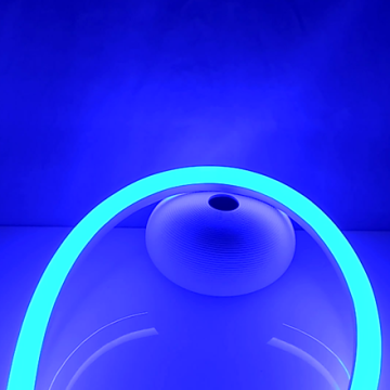 U-Type IP67 Waterproof Neon Flexible LED Strip Lighting Project