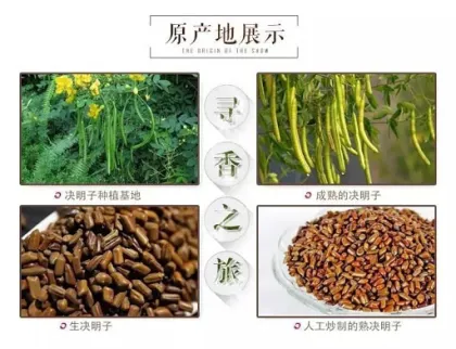 Lose weight cassia angustifolia seed extract