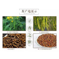 lose weight cassia angustifolia seed extract