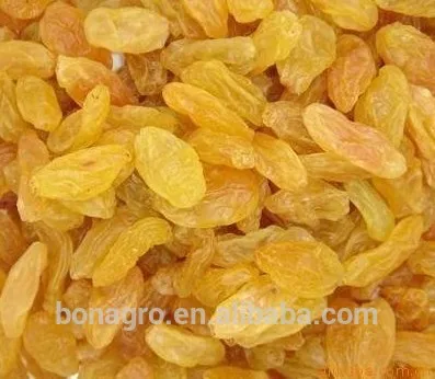 Raisin, Golden Raisin, Sultana Raisin on sale