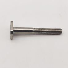 الصناعة العامة SS304 SS316 Flat T Head Bolt