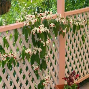 wood plastic fence