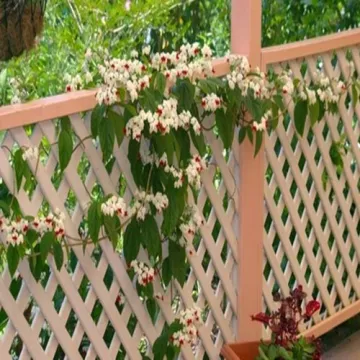 wood plastic fence