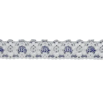Beautiful embrodiery Nylon Tricot Lace with Spandex