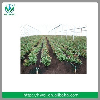 latest technology drip irrigation system for agriculture drip irrigation pipe