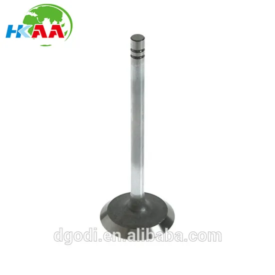 custom auto spare parts intake valves and exhaust engine valves
