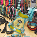 Pet Floret Back Chest Harness Pet for Walking