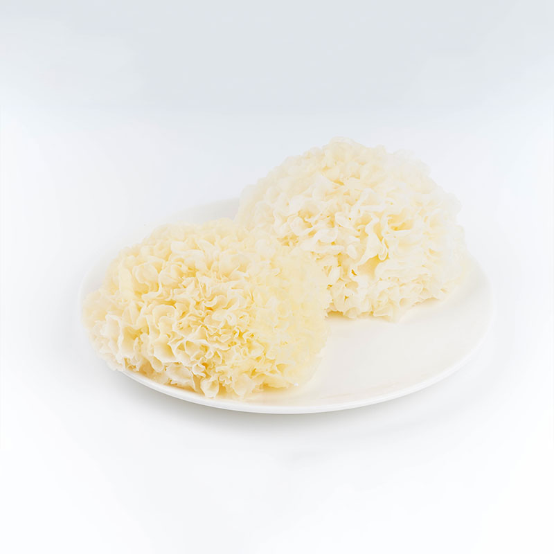 Tremella